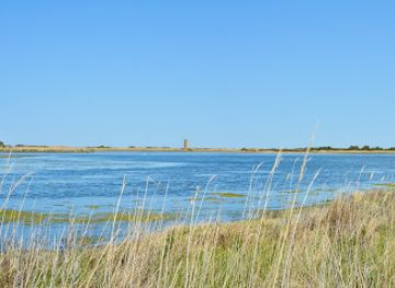 delaware/lewes/attraction/gordon-pond-wildlife-area