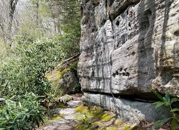 west-virginia/spruce-knob/attraction/bear-heaven-recreation-area