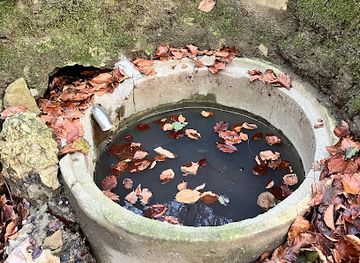 hungary/zalaegerszeg/attraction/bukkos-forras