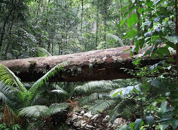 malaysia/redang-island/attraction/jungle-trekking-to-long-beach