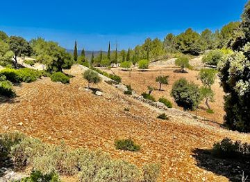 spain/serra-de-tramuntana/attraction/son-font-viewpoint