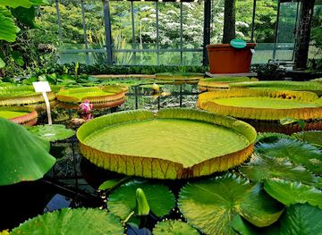 germany/holstein/attraction/botanical-garden