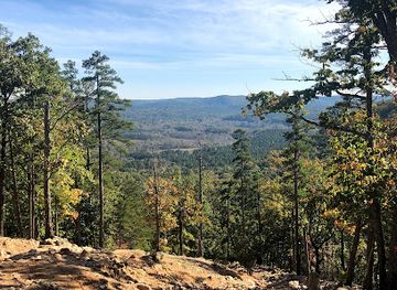 Uwharrie National Forest