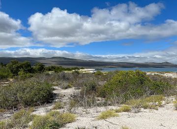 ecuador/galapagos-islands/attraction/playa-el-manglecito