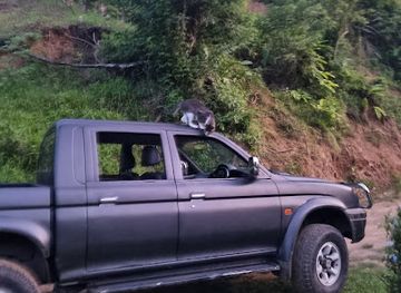 trinidad-and-tobago/scarborough/attraction/concordia-estate