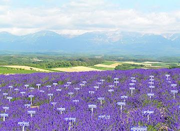 japan/hokkaido/attraction/miyama-pass-viewing-vista