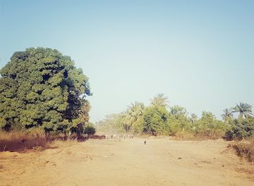 senegal/niokolo-koba-national-park/attraction/parc-national-de-basse-casamance