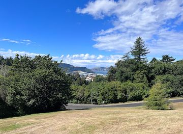 new-zealand/dunedin/attraction/bench-with-a-great-view