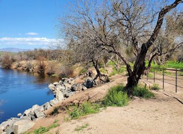 arizona/tonto-national-forest/attraction/coon-bluff-recreation-area