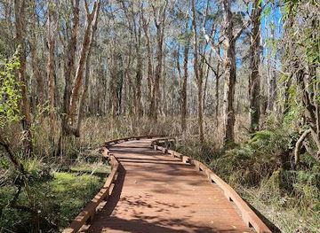 australia/surfers-paradise/attraction/coombabah-lake-conservation-park