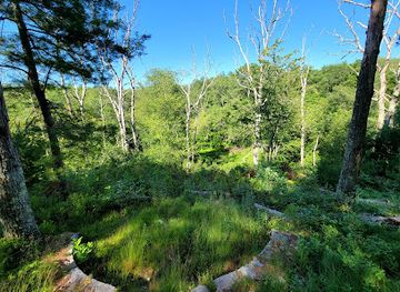 rhode-island/arcadia-management-area/attraction/patricia-sprague-forest-preserve