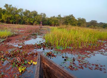 burkina-faso/hauts-bassins/attraction/mare-aux-hippopotames