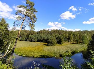 poland/bory-tucholskie/attraction/krzywe-kolo