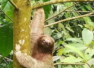 costa-rica/guanacaste/attraction/alex-on-the-beach-tours