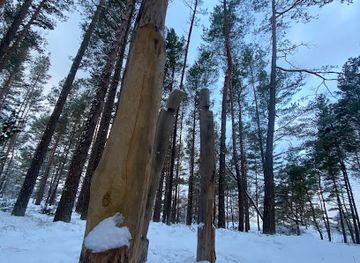 lithuania/palanga-beach/attraction/trys-tarkos