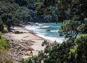 new-zealand/bay-of-plenty/attraction/homunga-bay