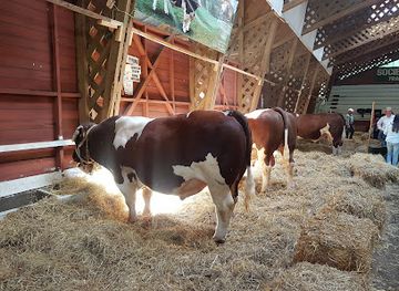 chile/araucania-region/attraction/sofo-park