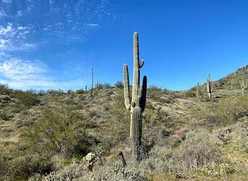 arizona/tempe/attraction/cave-creek-regional-park