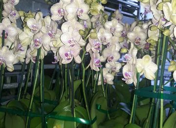 florida/homestead/attraction/redland-tropical-gardens