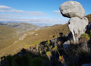 south-africa/overberg/attraction/cape-canopy-tour