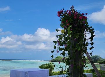 maldives/raa-atoll/attraction/boashivaa-beach