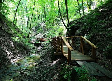 hungary/mecsek-mountains/attraction/nagy-mely-volgy