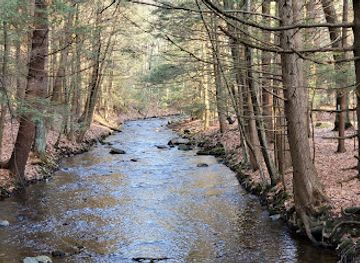 massachusetts/hampshire-county/attraction/amethyst-brook-conservation-area