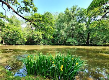 hungary/transdanubia/attraction/sarvar-arboretum