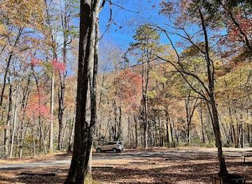 tennessee/dollywood/attraction/collins-creek-picnic-area