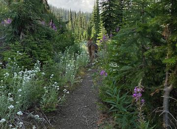washington/the-selkirk-mountains/attraction/salmo-basin-trailhead