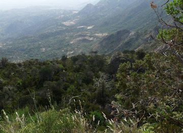 somalia/togdheer/attraction/gacan-libaax