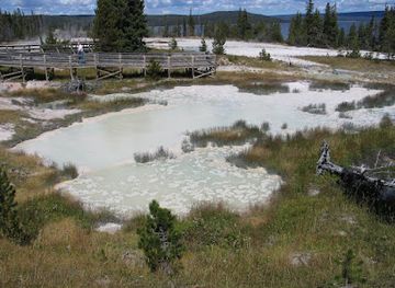wyoming/yellowstone-national-park/attraction/mimulus-pool