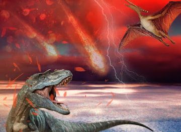 ghana/mole-national-park/attraction/bole-park