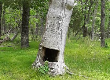 new-jersey/south-jersey/attraction/martha-s-furnace