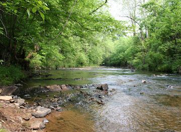north-carolina/high-country/attraction/reed-gold-mine