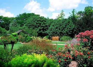 hawaii/maui/attraction/luthy-botanical-garden