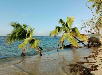 panama/bocas-del-toro/attraction/boca-del-drago