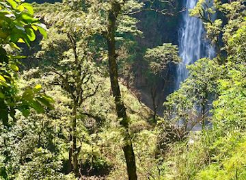 tanzania/kilimanjaro-region/attraction/materuni-coffee-tour-and-hiking