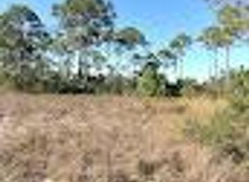 florida/pensacola-beach/attraction/picnic-pavilion