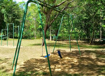 puerto-rico/arecibo-observatory/attraction/bosque-estatal-de-cambalache