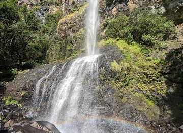 mauritius/flacq/attraction/mare-aux-joncs-black-river-gorges-mauritius-waterfall