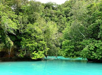 palau/angaur/attraction/milky-way