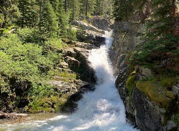 montana/glacier-national-park/attraction/aster-falls