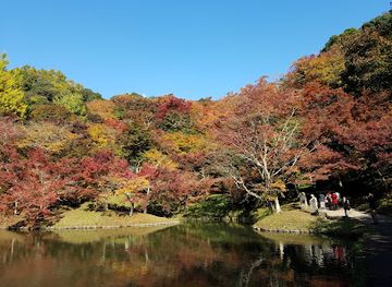 japan/bungo/attraction/yujaku-park