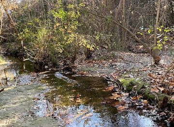 texas/mckinney-falls-state-park/attraction/blunn-creek-nature-preserve