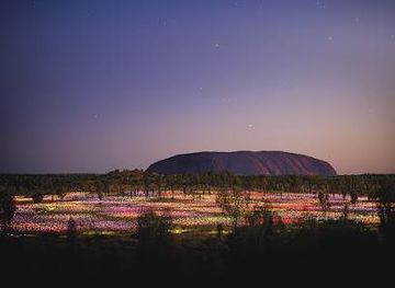 Field of Light Uluru