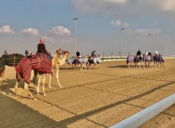 qatar/al-daayen/attraction/shahaniyah-camel-race-track