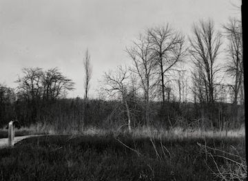 michigan/marquette/attraction/moosewood-nature-center