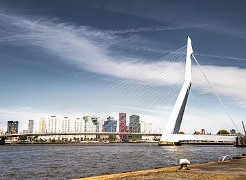 netherlands/south-holland/attraction/erasmusbrug