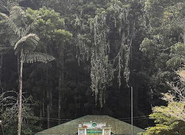 philippines/central-visayas/attraction/raja-sikatuna-national-park